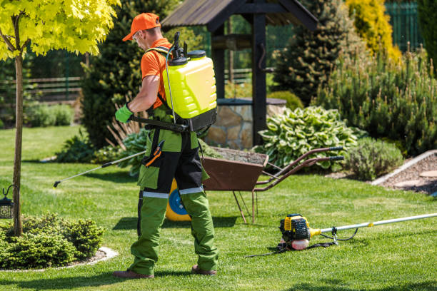 Professional Pest control in Wanakah, NY